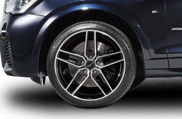 AC Schnitzer Radsatz Typ VIII BiColor