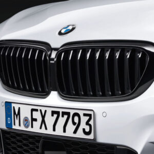 BMW M PERFORMANCE FRONTZIERGITTER