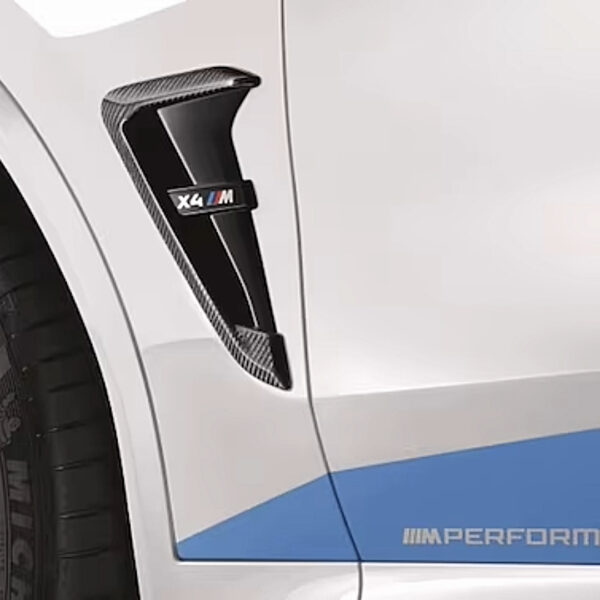 BMW M Performance Ziergitter Carbon Seite