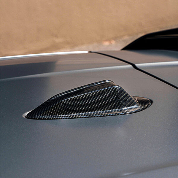 BMW M Performance Antennenabdeckung Aramid