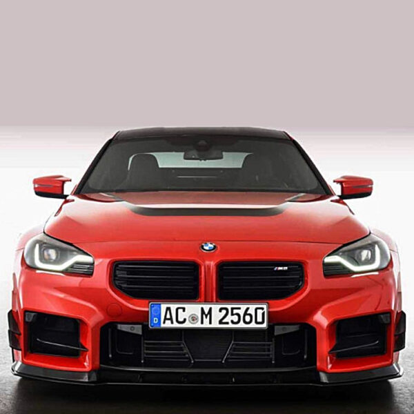 AC Schnitzer Frontgrill M2