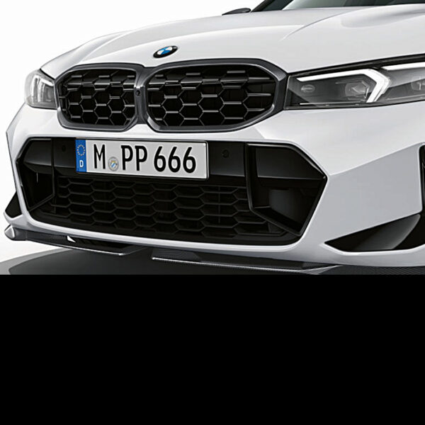 BMW M Performance Mesh-Frontziergitter Carbon 3er