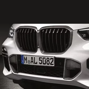 BMW M Performance Frontziergitter Carbon Niere