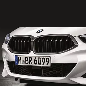 BMW M Performance Frontziergitter Carbon Niere