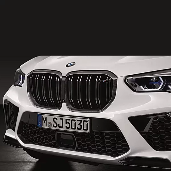 BMW M Performance Frontziergitter Carbon Niere