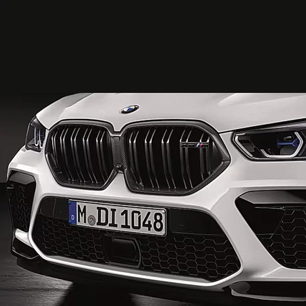 BMW M Performance Frontziergitter Carbon Niere