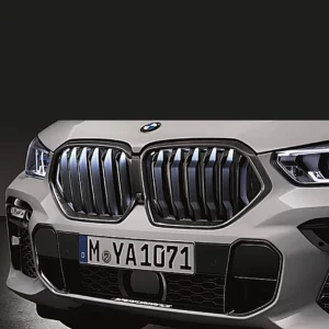 BMW M Performance Frontziergitter Carbon Niere