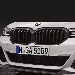 BMW M Performance Frontziergitter Carbon Niere
