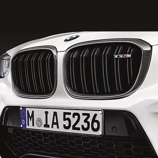 BMW M Performance Frontziergitter Carbon Niere 2-teilig