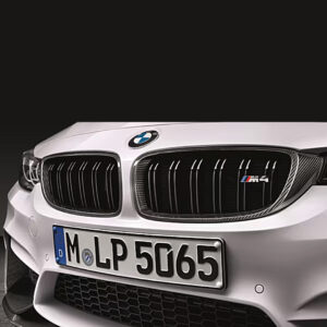 BMW M Performance Frontziergitter Carbon Niere 2-teilig